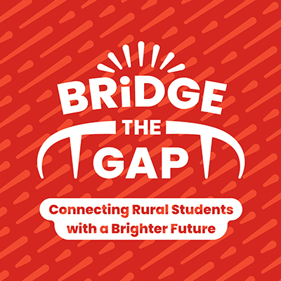 Bridge the Gap Process Book